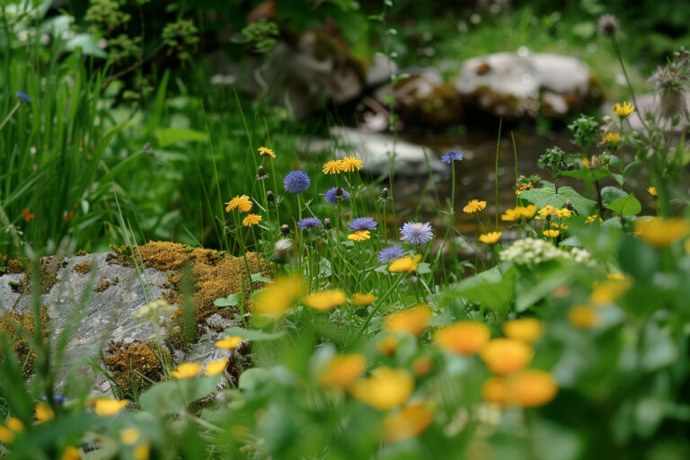 kleingartenverein in der naehe 112 768x512